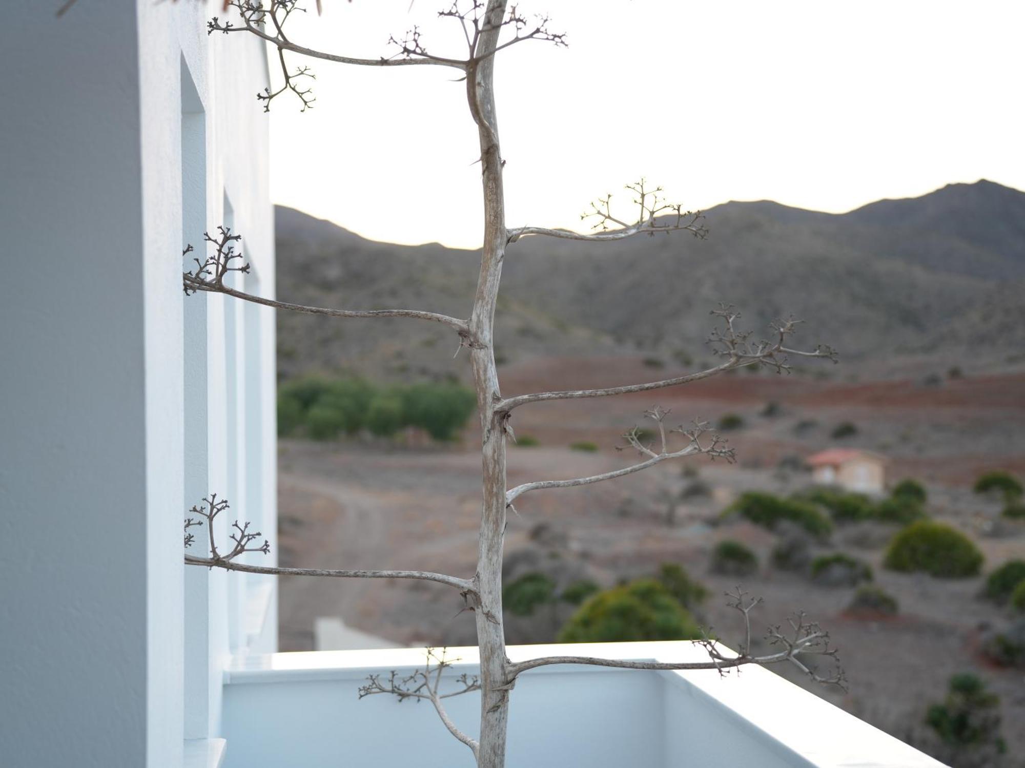 Senses Villa San José Extérieur photo